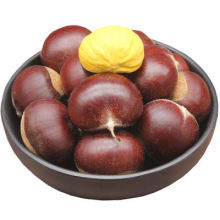 2021 new season fresh chestnut with top quality and competitive price